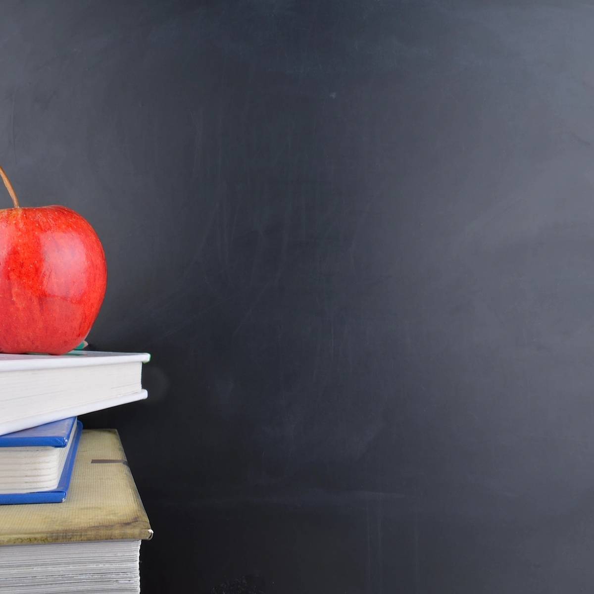 MVM Vision's 2023 Seasonal Lesson Plans